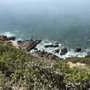 Photo of Point Dume Cove Trail