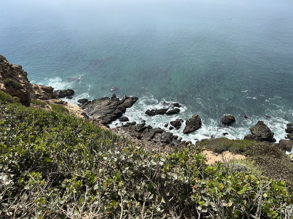 Point Dume Cove Trail Logo