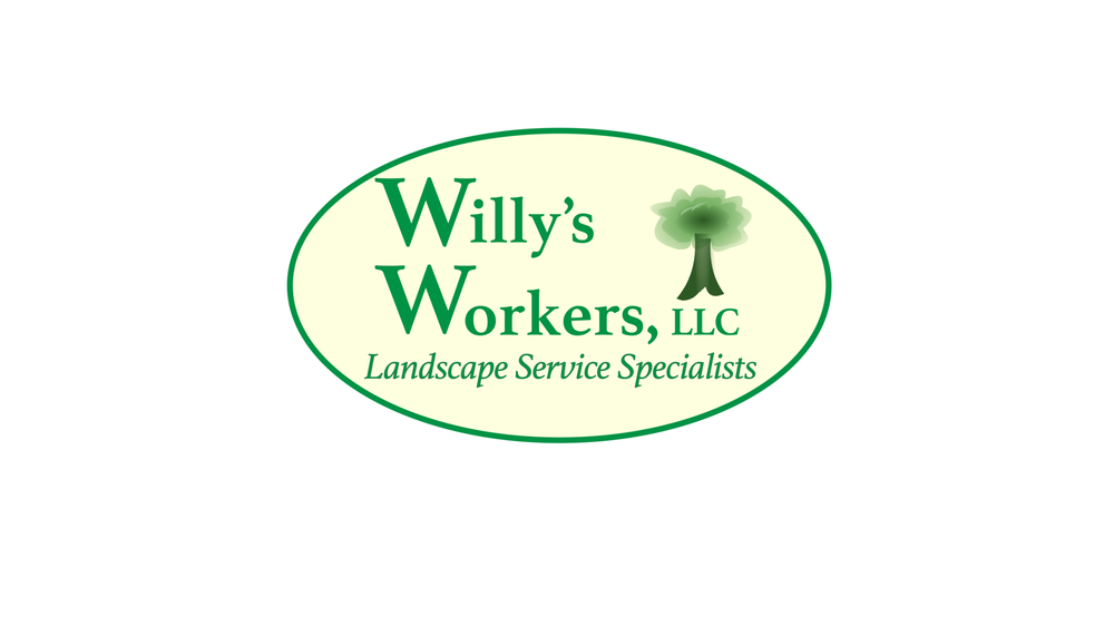 Willy's Workers - tree service in Excelsior, MN