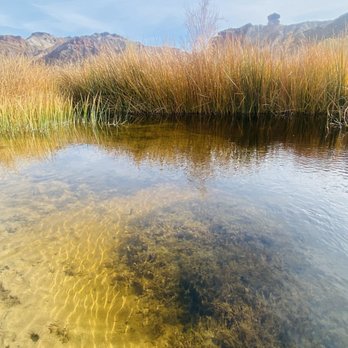 China Ranch Date Farm - Ranches Near Me - Tecopa, California