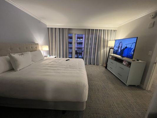 Hyatt Regency Clearwater Beach Resort and Spa by null
