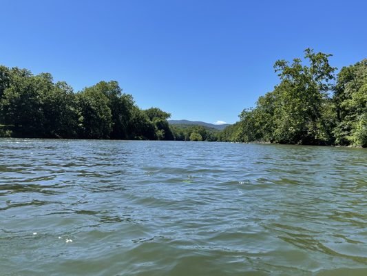 Front Royal Outdoors by null