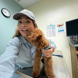 Baseline Animal Hospital