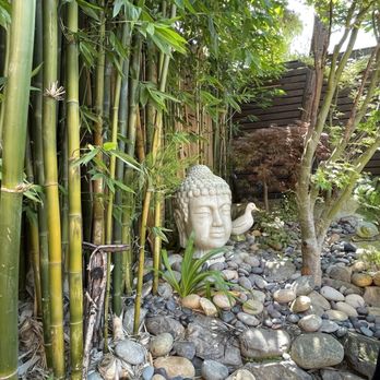 Eggy’s Neighborhood Kitchen - A zen moment - Breakfast & Brunch Near Me - Berkeley, California Eggy’s Neighborhood Kitchen - A zen moment - Breakfast & Brunch Near Me - Berkeley, California