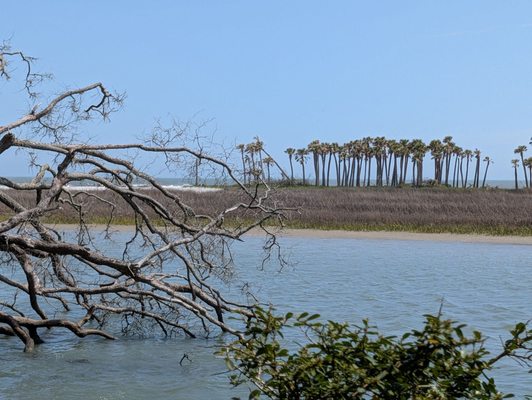 Hunting Island by null