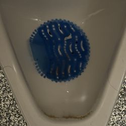Metroflex Miramar - Bathroom