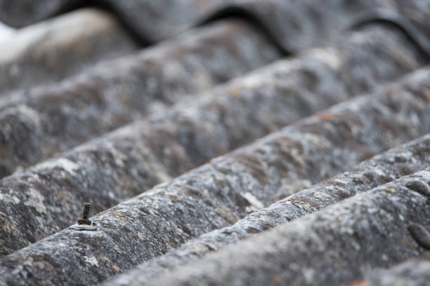 Environmental Testing & Consulting of Kentucky - mold inspector in Nicholasville, KY