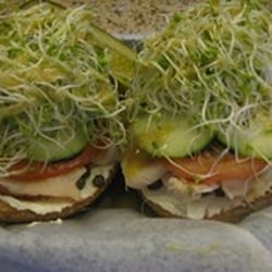 Truckee Bagel Company - Midtown