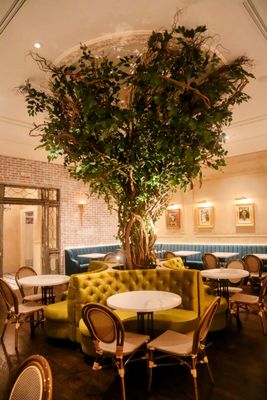 Frida's Mexican Cuisine by null