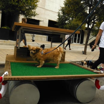 Barkitecture - Pet Services Near Me - Austin, Texas
