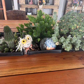 A Romo's Cafe - Table with succulents - Coffee & Tea Near Me - Hayward, California