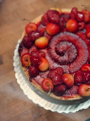 Scialo Brothers Bakery by null