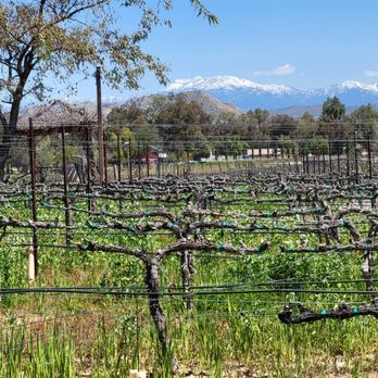 Lorimar Vineyards and Winery - Wineries Near Me - Temecula, California Lorimar Vineyards and Winery - Wineries Near Me - Temecula, California