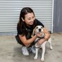 Photo of Dingo Pet Grooming