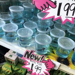 99 Cents Store