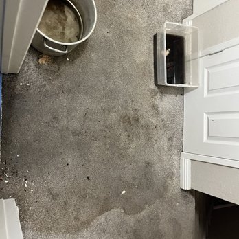 Amber Ridge Apartments - My soaked carpet - Apartments Near Me - La Verne, California Amber Ridge Apartments - My soaked carpet - Apartments Near Me - La Verne, California