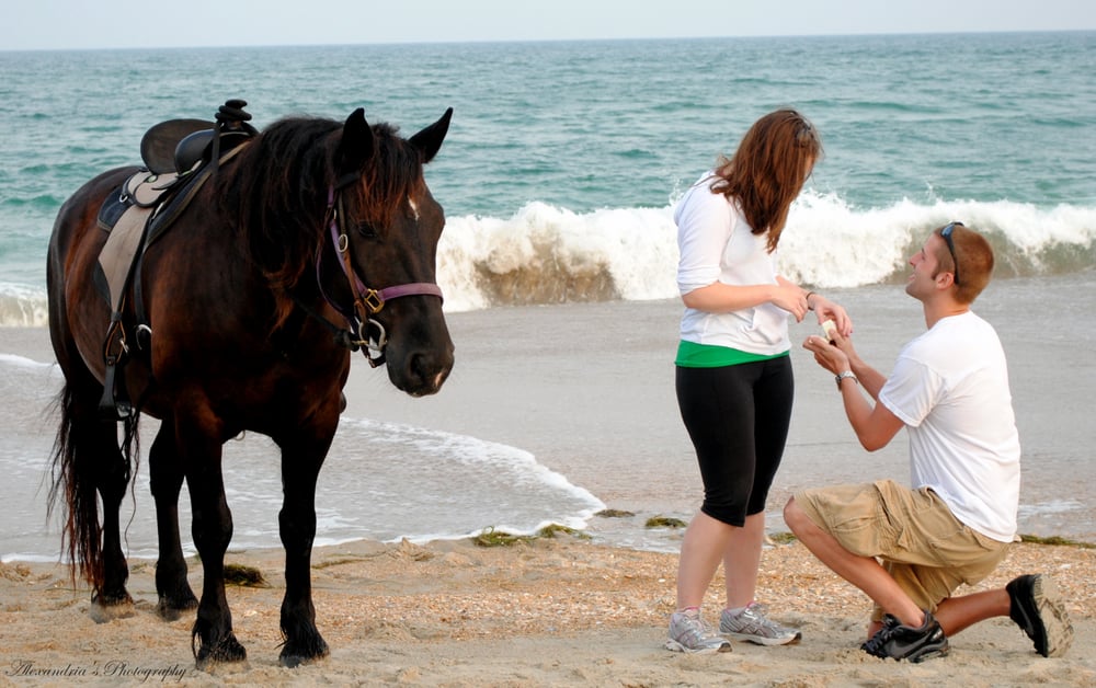 Hatteras Island Horseback Riding Logo