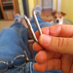 H&H Fence Builders - U-nail from my dog's mouth