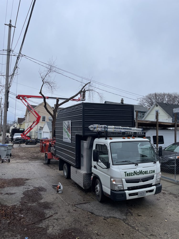 Trees No More - tree service in Franklin, WI