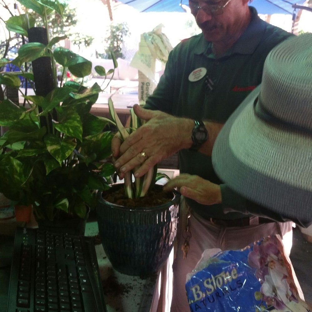 Armstrong Garden Centers - Outstanding customer service - Nurseries & Gardening Near Me - Pasadena, California Armstrong Garden Centers - Outstanding customer service - Nurseries & Gardening Near Me - Pasadena, California