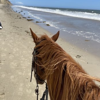 Los Padres Outfitters - Horseback Riding Near Me - Carpinteria, California Los Padres Outfitters - Horseback Riding Near Me - Carpinteria, California