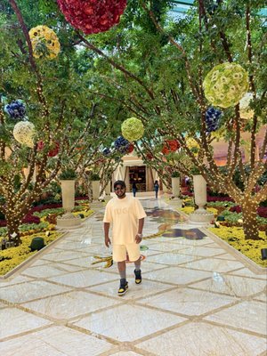 Wynn Las Vegas by null