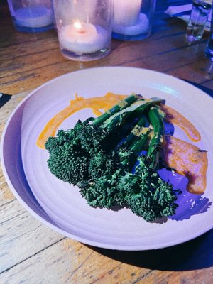 Selva Toronto by null