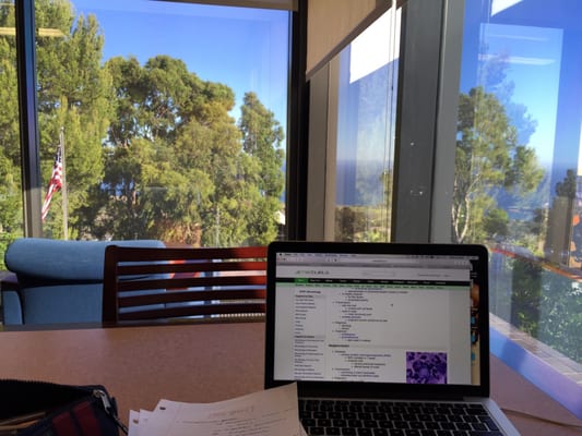 Payson Library by null