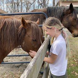 The White Pig Bed & Breakfast - A girl & a horse