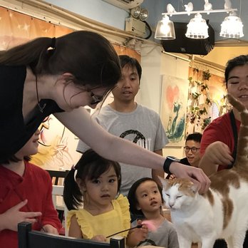 阿貓地攤 - Cafes Near Me - Hong Kong, HK 阿貓地攤 - Cafes Near Me - Hong Kong, HK