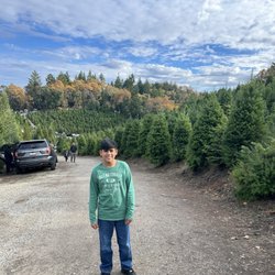 Frosty's Christmas Tree Farm - The view and gorgeous tree farm