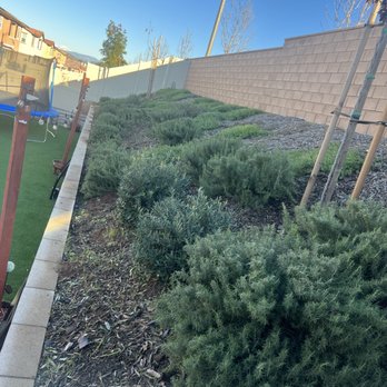 Aj’s Landscape - Trimming service - Landscaping Near Me Aj’s Landscape - Trimming service - Landscaping Near Me