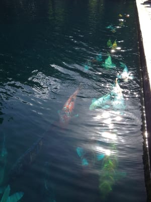 Museo de Arte de Puerto Rico by null