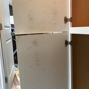 The Home Depot - Mold on both doors - Hardware Stores Near Me - Seattle, Washington