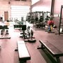 The Powerlifting Gym