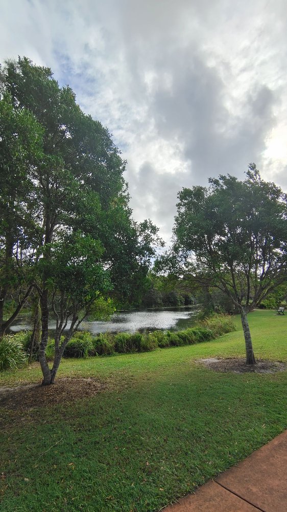 THE AVENUE PARK DUCK POND Updated September 2024 66 The Avenue