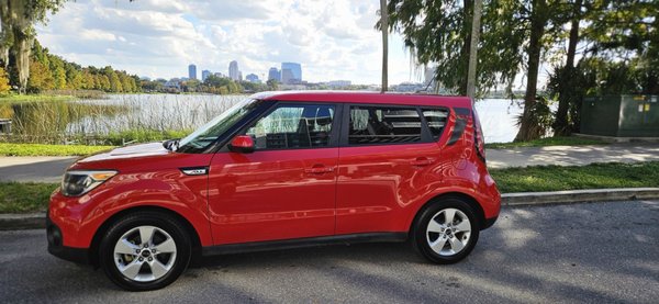 Octopus Car Wash by null