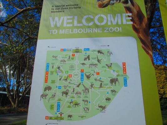 Melbourne Zoo by null