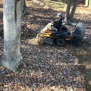N&D Lawn Care - I have learned that for the amount of leaves I have, it's best to bring in the big guns and get it done! - Lawn Services Near Me