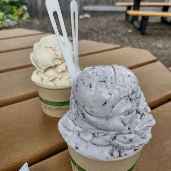 Benson's Ice Cream - Maine blueberry yogurt and NJ peach ice cream - Ice Cream & Frozen Yogurt Near Me - Boxford, Massachusetts