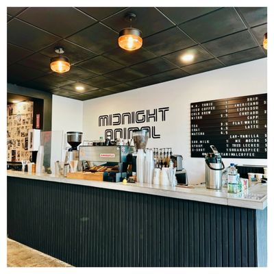 Midnight Animal Coffee by null