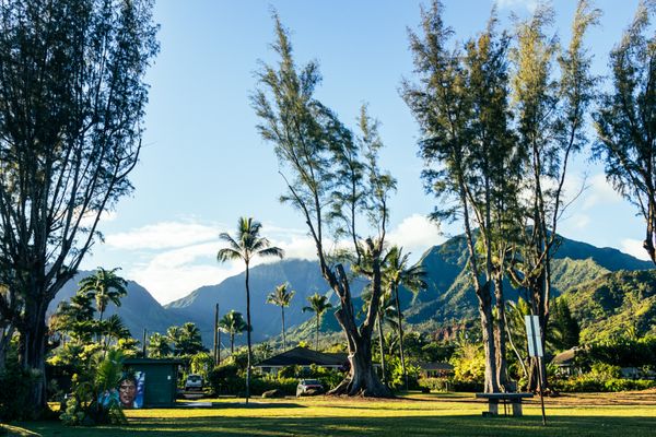 Hanalei Surfboard House by null