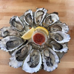 Oysters Oysters