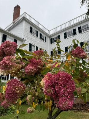 Strawbery Banke Museum by null