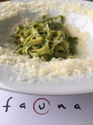 Fauna by null
