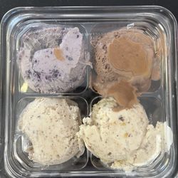 Molly V’s Homemade Ice Cream - Sampler - Blueberry, Chocolate Reese's Chip, Almond Joy & Snickers