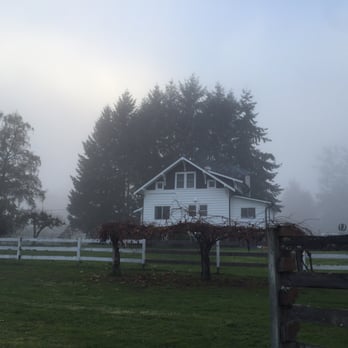 Green Acres Christmas Tree Farm - Christmas Trees Near Me - Edgewood, Washington Green Acres Christmas Tree Farm - Christmas Trees Near Me - Edgewood, Washington