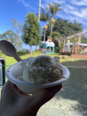 Coconut Glen's by null
