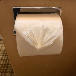 I just love this little finishing touch!  My bathroom is too clean to use now.