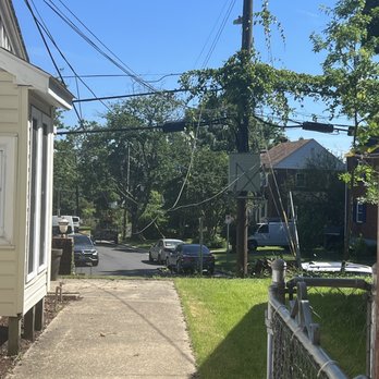 Marquez Tree Services - After! - Tree Services Near Me - Silver Spring, Maryland